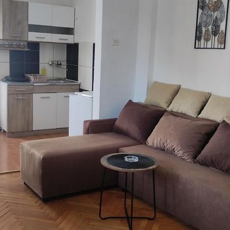 Apartment Mina Sokobanja Eksteriør billede