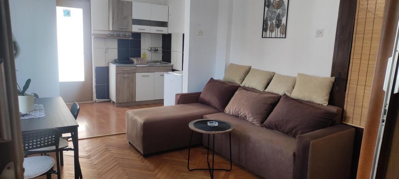Apartment Mina Sokobanja Eksteriør billede